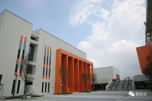 引入名校 长沙这个片区教育配套升级