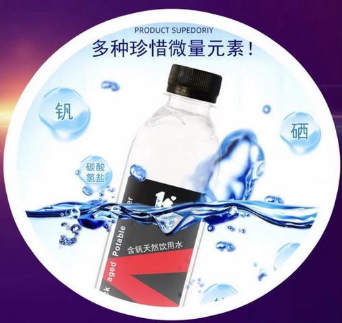 长沙大女生文化教育咨询 引领新时代教育咨询服务